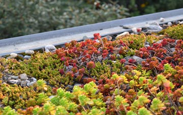 the cost of Tockenham green roof installation