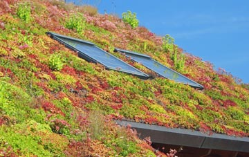 Tockenham living roof systems
