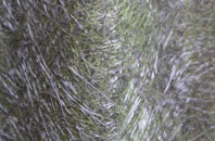 Tockenham fibreglass roof work